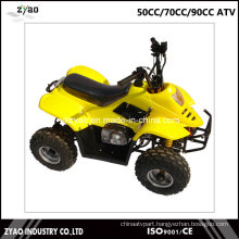 Mini Quad Bike for Kids 50cc From China